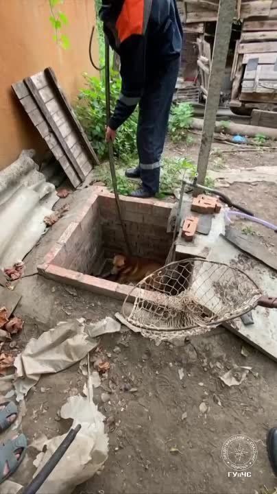 ��� ������ ��� ������ ������� � ���������