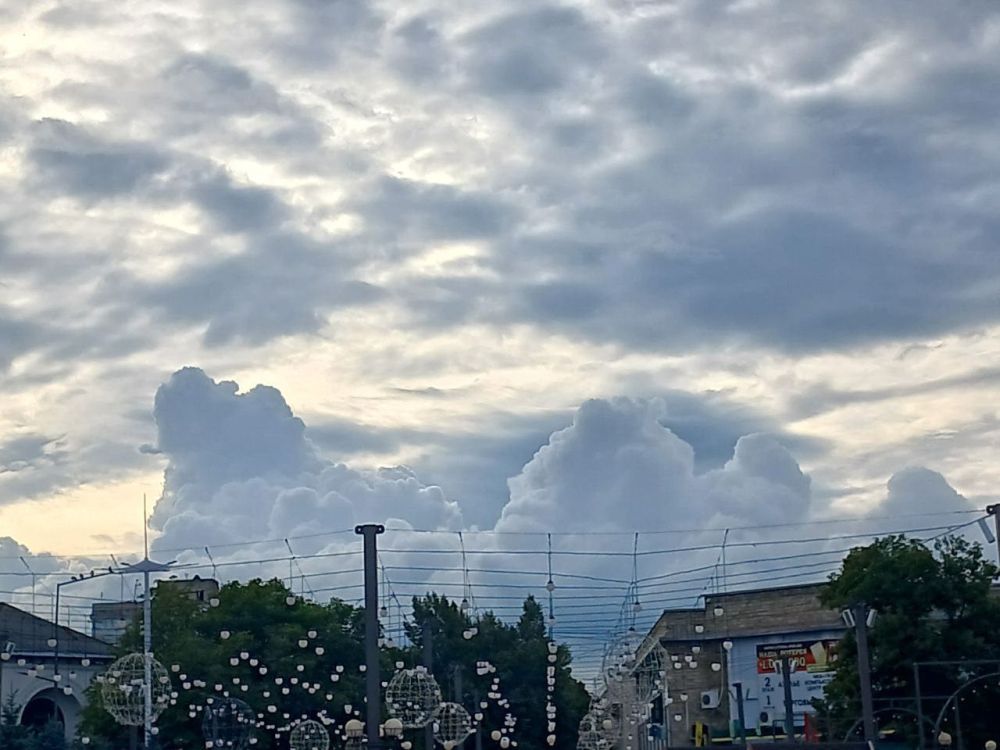 ���� ����� �����. �������-�������� ����������� ������