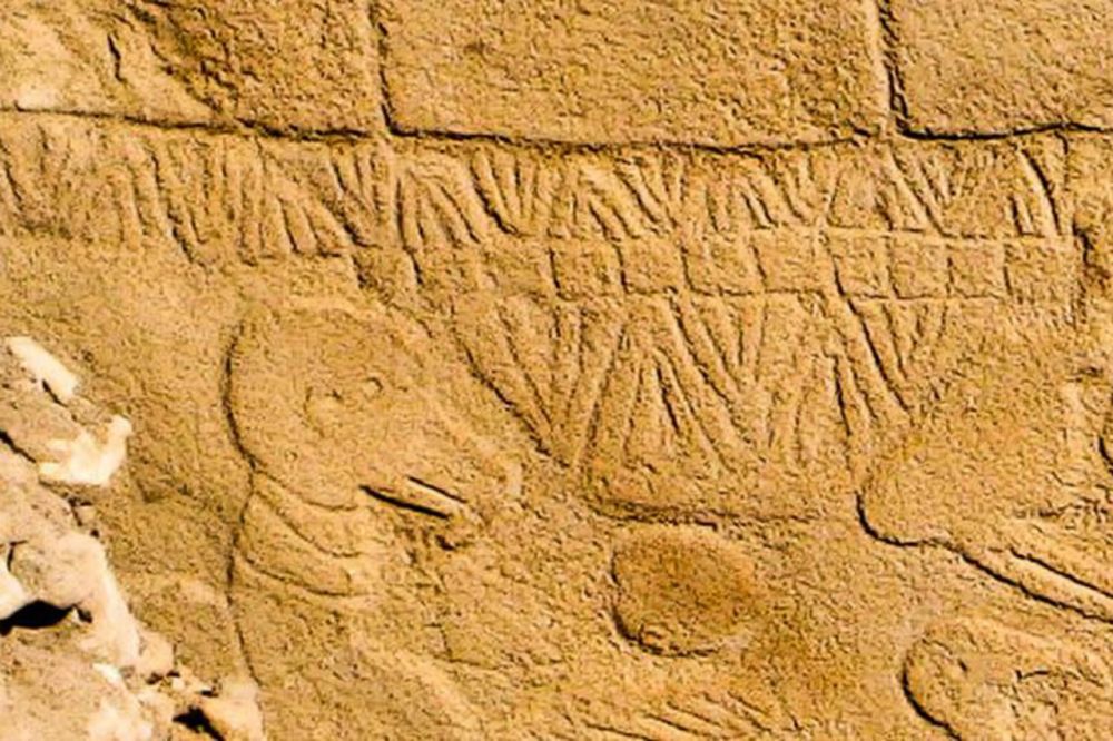 �� ��� ������ ������ �����, ��������, ���������� � ���� ��������� ���������