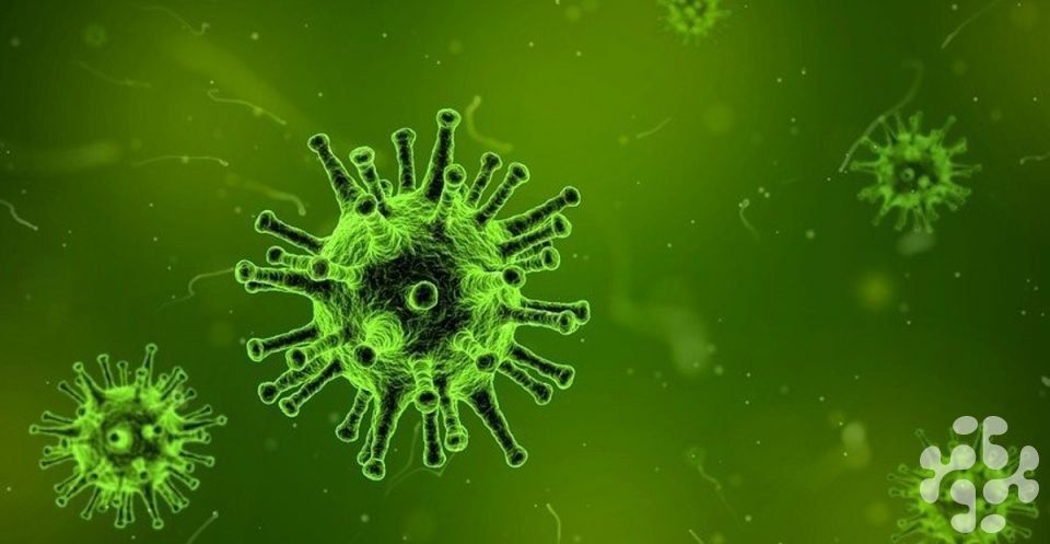 ����������� �������. �� ������� ������ ������������� 106 �������. ��� �� 7 ������, ��� ������� �����