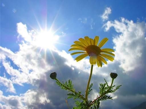 7 ������� � ���� ���������� ���� ���������