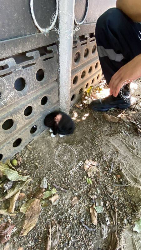 ������ ������. � �������� ������ ������� ������ � ��������� � ������ � �������. ��������� ������� � ������� �������, �� ����������