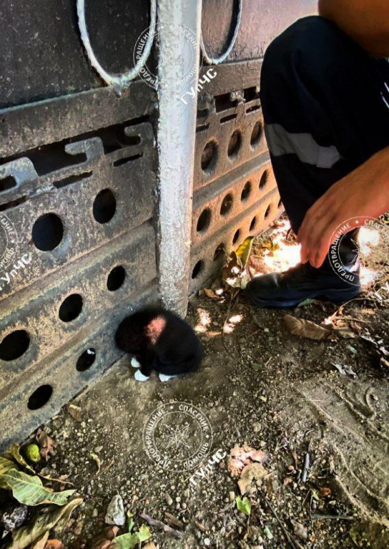 ����������� ������� ������