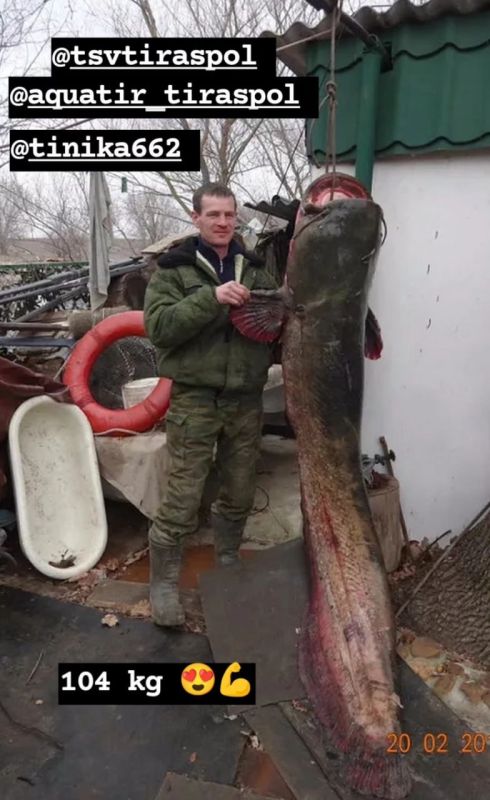 ������ ����� ������� ����: ��� �� 104 ����������