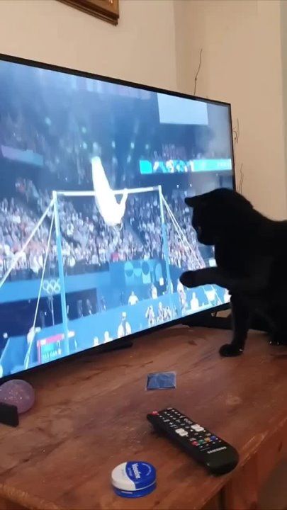 ��� �� ������ ���, ������� ����� ��������� ����������� �� ������ � ������, ������ ��� ������� � ��������� ��������