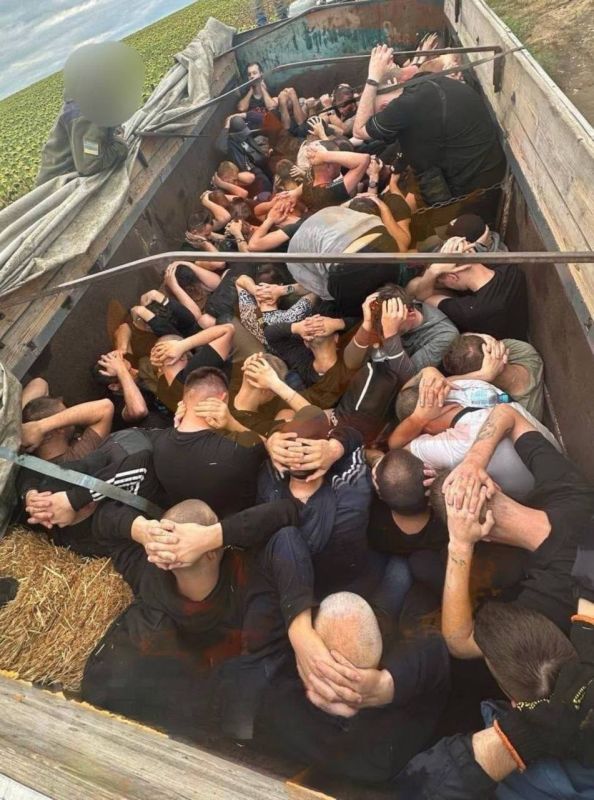 � �������� ������� ��������� ���� �� ����� ������� ����� ����������