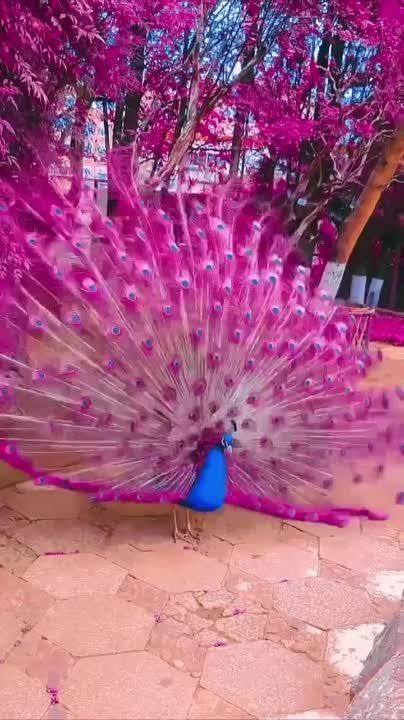 �����������, ���������� ������� ��� ������ � ����� ������� ���������������