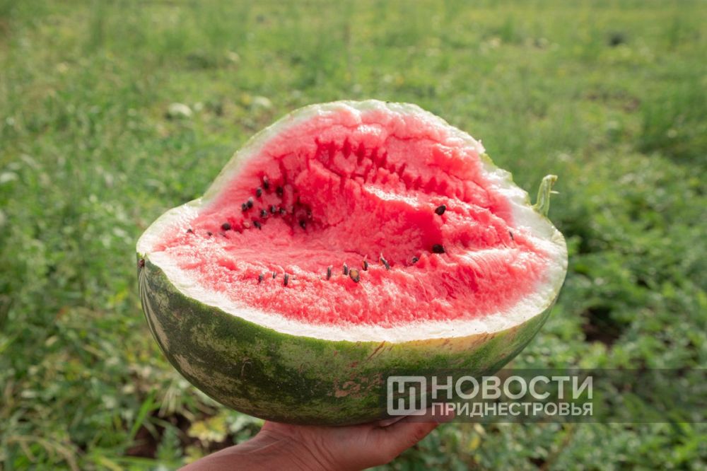 �������� ����������, ��� � ���� ���� ������� � ������������� ��� ������� �����