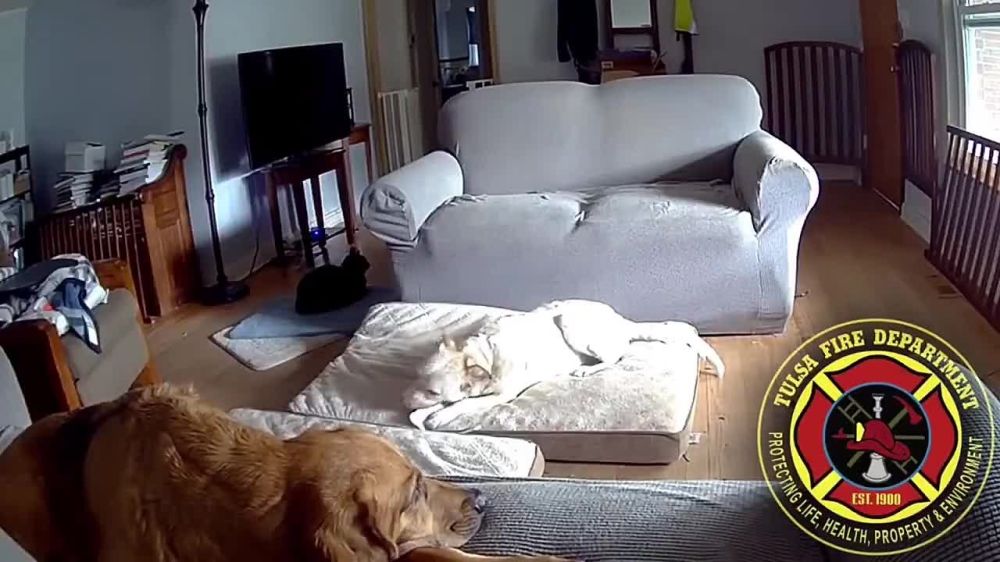 ��������� � ������ � ��� ������� ����� ���������?