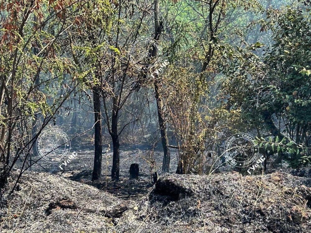 �� ���������, �� ����������� � ���� �������, ����� ����������