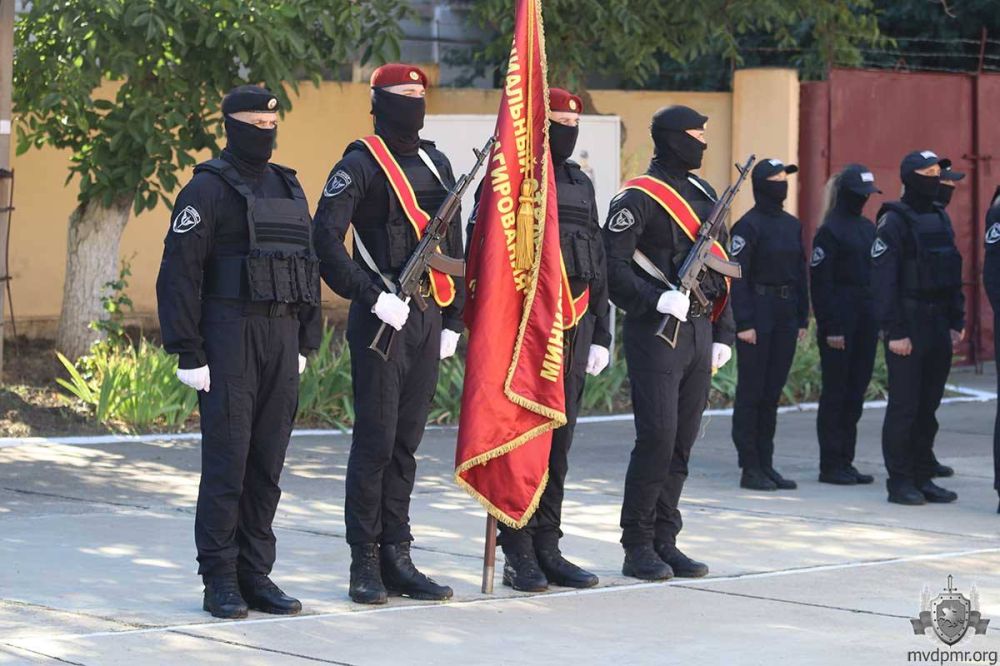 ���� ������� ����������� 33