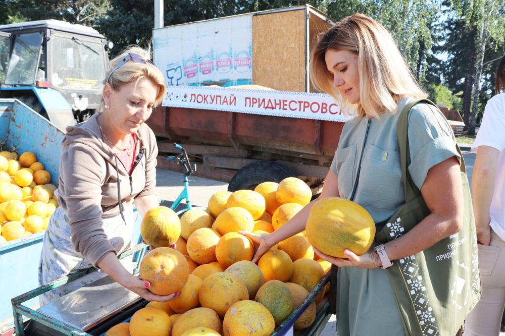 ��������-������� �������� ��������������� ������ 10 ������� � ��������