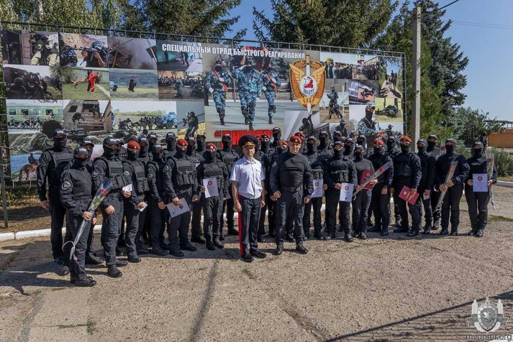 ���� ������� ������� 33-�����