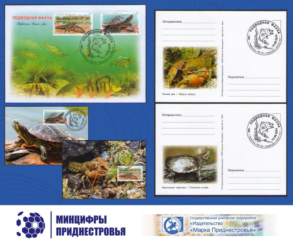 ����� ����� �������� ����� ���������� ����� ���������� 10 �������