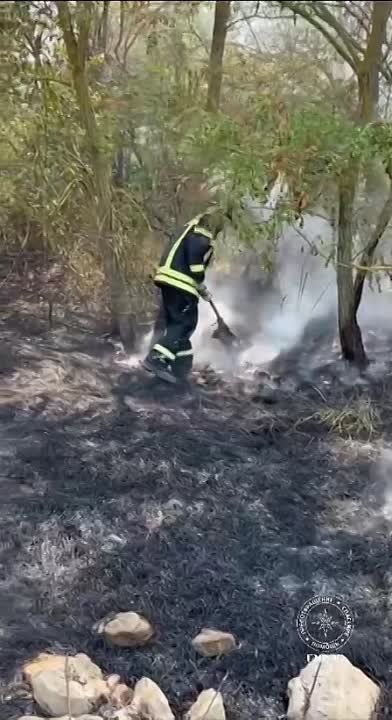 ����� ������������: �� ��������� � ������� ���� ������� ����� ����������