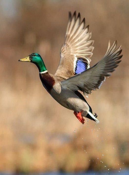 10 ������� �������� ����� ����� �� ����