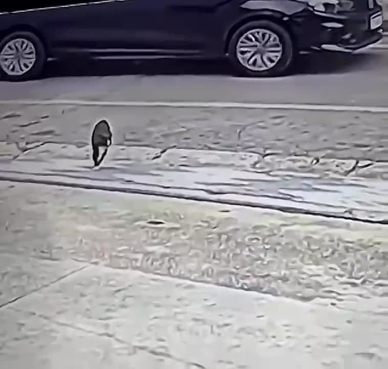 ��� ������������ �����