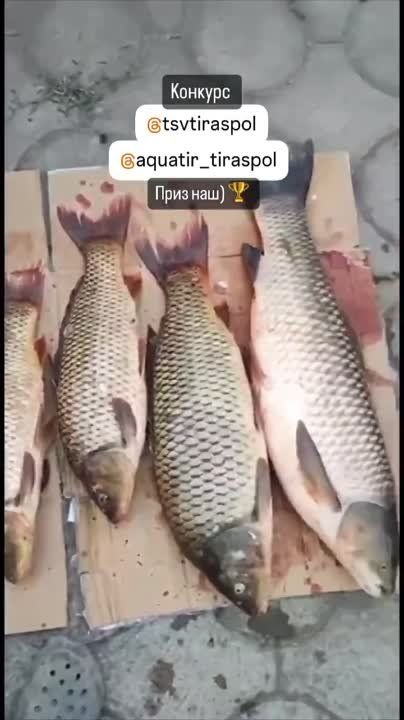 ���������� ��� ������������ � ����� ��������� �� ������� ��� ����� �������� �����