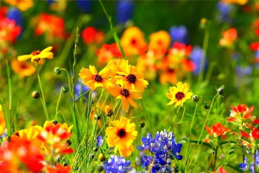 �������������: �� ��������� ������ ��� �������