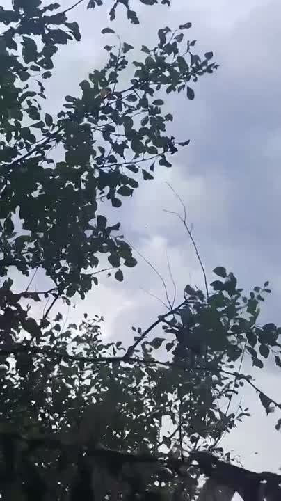 �� ����������� ����������� ���������� ���� ���� ����������� ������������ ���� ��������� �����������