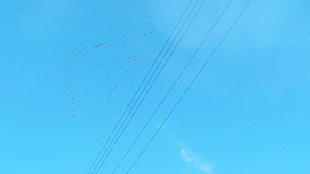 ���������: �� �� ���� ������, �� �� ��������� ��������� ��� ���������