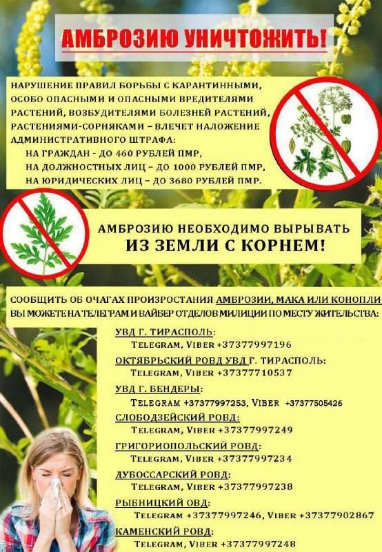 � ����� ���� � �� ������ ���������� ��� �������� ������� �����