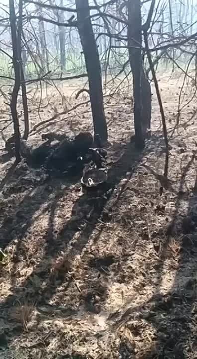 ������� � ����.. ����� ��� ����� � ����������� ����. 18+