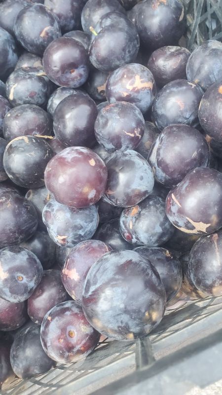 � ��� ��� ظ������. ������� ����� �������� ������� ��������� ���