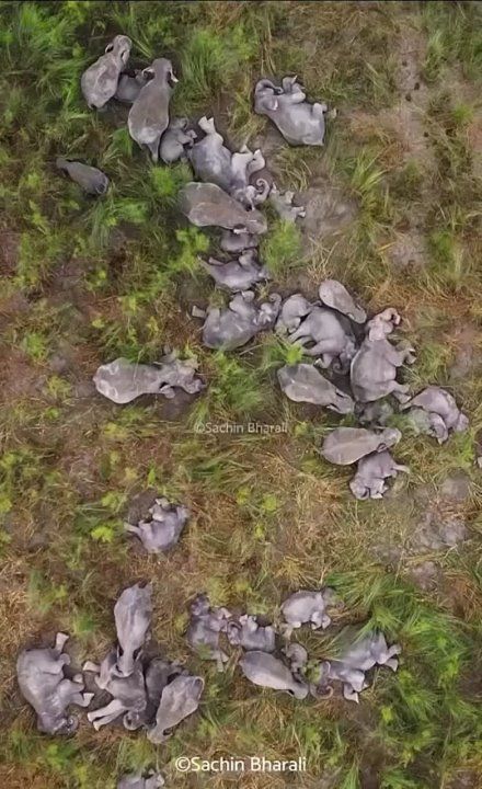 ������� �������������. ���� ���� ������ ����� ������ � �����