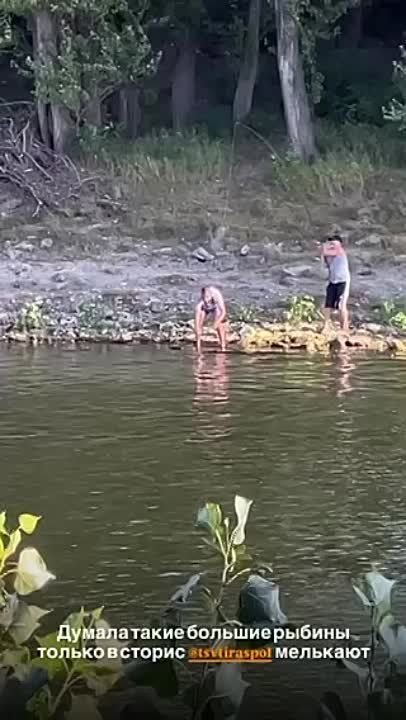 � ��� ��� ����������� �������� ����� �� �������