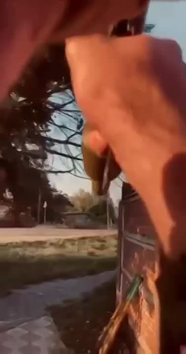 ������ � ������ ����������������� ��� � ������� �������