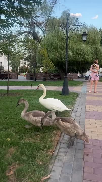 ���� ������ � ������ ��� ������ ��� ��������� ����� ������� �� ���� � �����