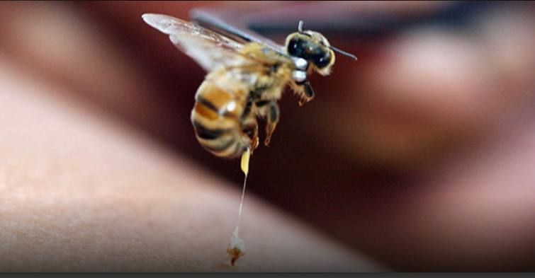 ������ ������ ��� ����� ���� � ��