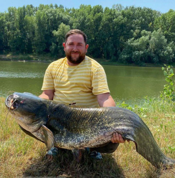 ����� �� ������������� ������� �� ������� ���� �� 52 ����������