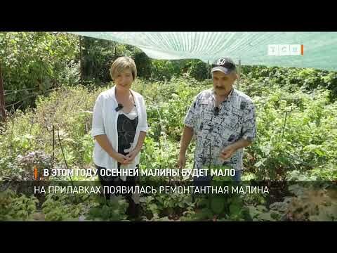 �� ��������� ��������� ������������ ������