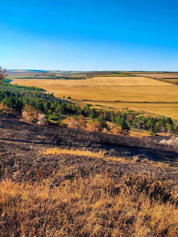 ����� ��������� ����������� ������ � ���� ����������