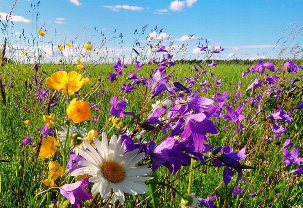 ��� �������� ��������� ����� �� ����� �� � ��, 14 ������� ��������� ���������� ����������, ��� �������