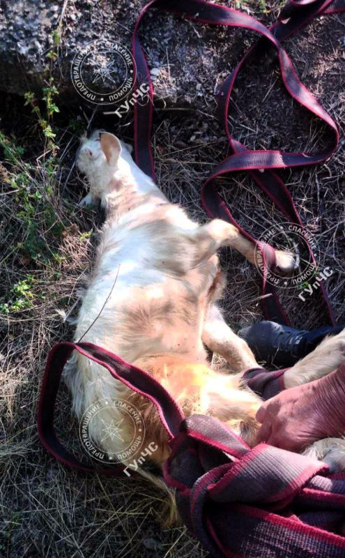 �������� � ������� ����� �� �����! ����� �� ���������