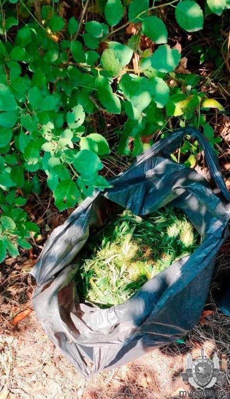 ������� ����� � ������ ��������� ��� ����, � ����� ����������� �� ��� ������� ��� ����