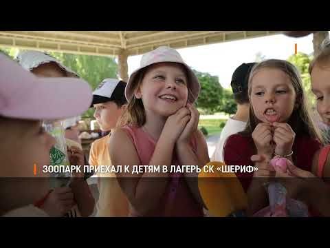 � ������� ������ �������������� ������� ������� �������