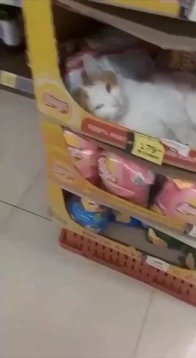 � ������ ���������� ������, ������� ������� ��� �� ������ �������