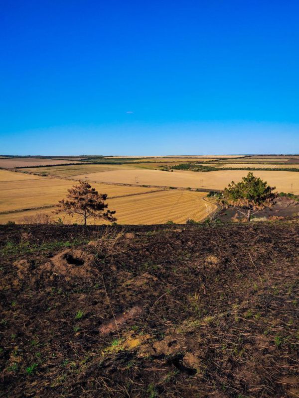 ������� � ����� �����. ����������� ������� ������! �������� �����, ����� ��������, �������. ������� ������ ��������....