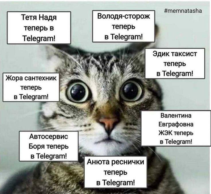 ������� ���� �������� Telegram