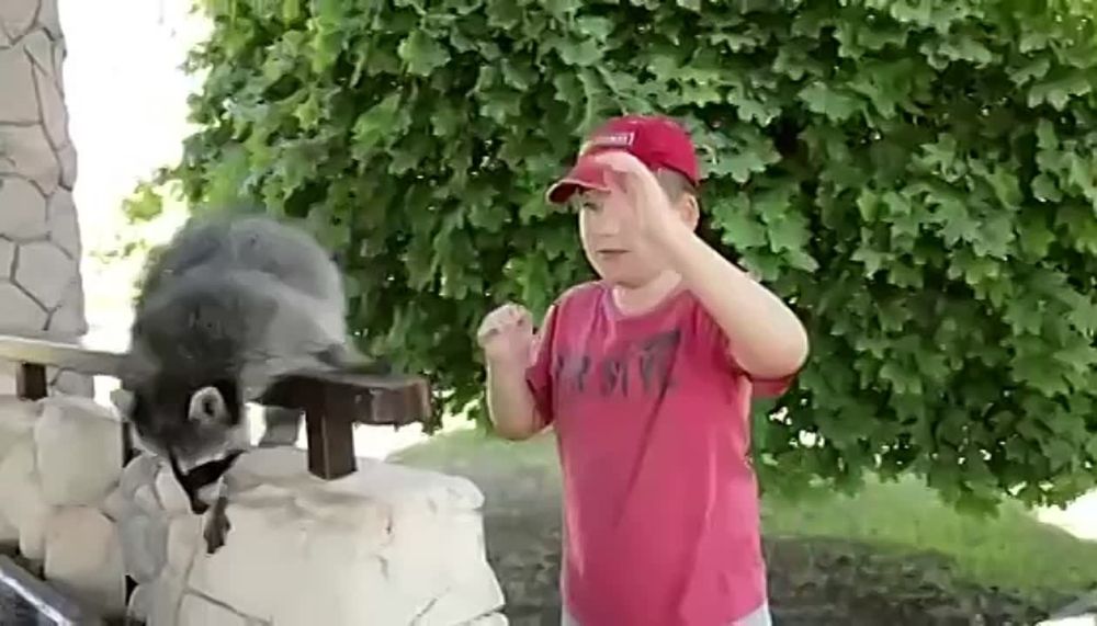 ���� ��� �� ���� ������ ����� ����� ������� � ����� �� �������� ������ �� �������������� �������