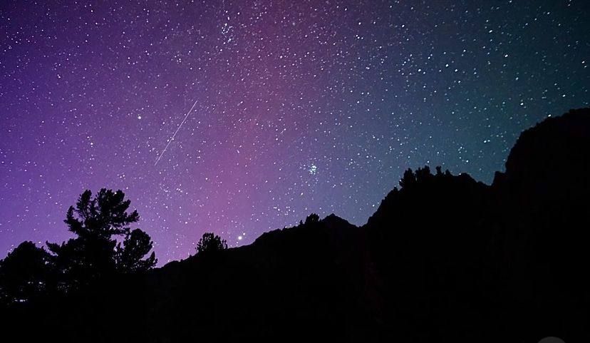 ��� ������� ����� �������� ��������� �������� � ������