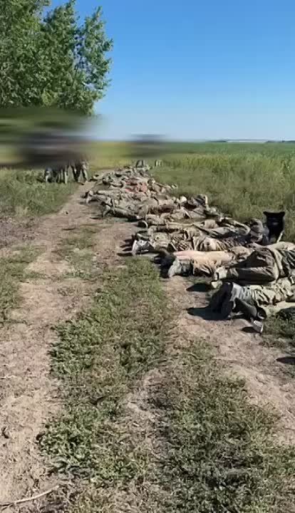 �����-��� �������� � ������ � ���� 102 ����� ������ � ������� �������