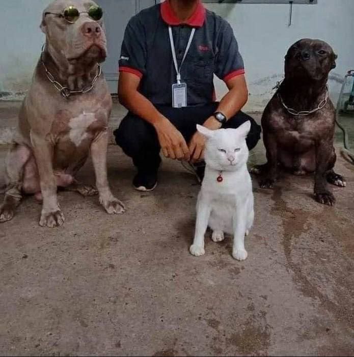 ������� ���: ��� ����� � ��������� � ������ ������, ��� �� ���� �� ���