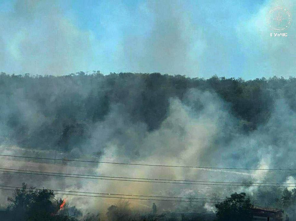 Сухая трава горела в селе Карманово Григориопольского района