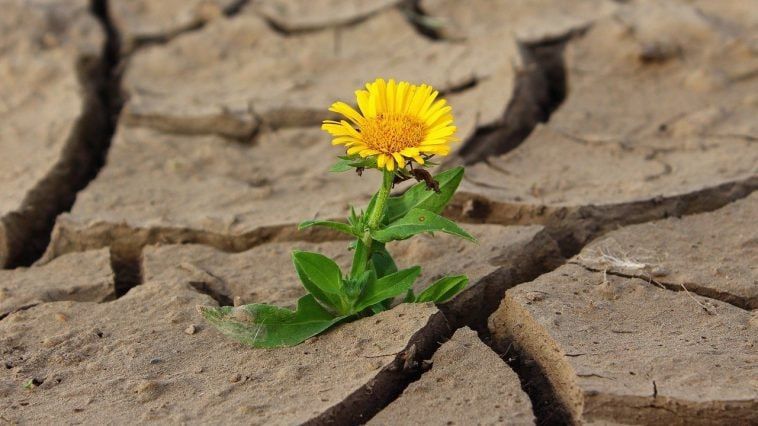 � ������������� ������������ ������