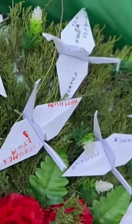 � �������� ������ ����� ������ �������